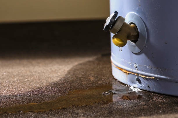 Best Sewage cleanup and water damage restoration  in Newton Falls, OH