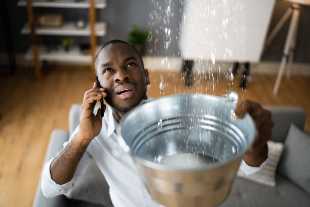Best Water damage restoration near me  in Newton Falls, OH