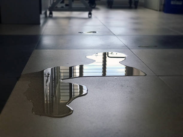Best Local water damage restoration  in Newton Falls, OH