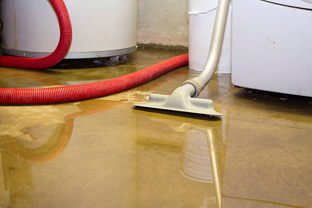 Best Ceiling water damage repair  in Newton Falls, OH