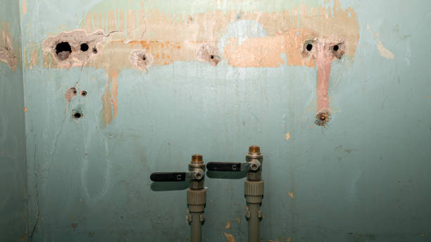 Best 24-hour water damage restoration  in Newton Falls, OH