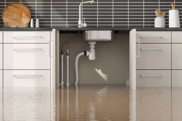 Best Carpet water damage restoration  in Newton Falls, OH